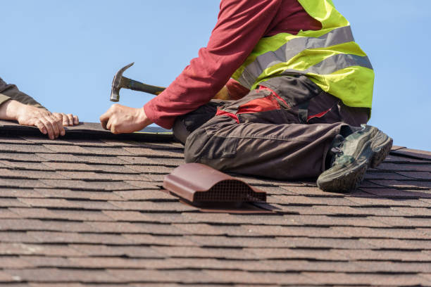 Best Roof Gutter Cleaning  in Saks, AL